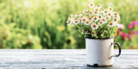 Frühling 2018