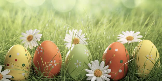 Frühlingswiese mit bemalten Eiern